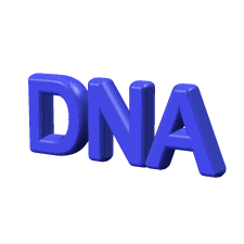 DNA-a